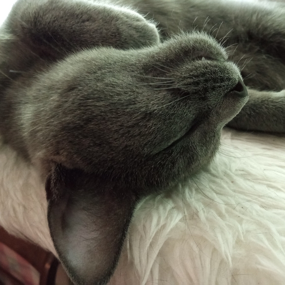 Meet your Posher, Katie - Picture 13 of 16